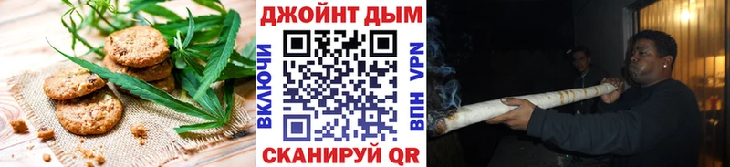 omg ONION Сертолово Еда ТГК конопля