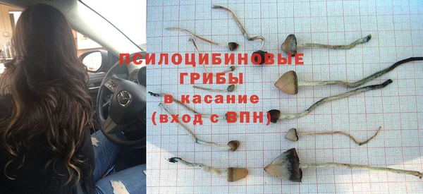 дмт Осинники