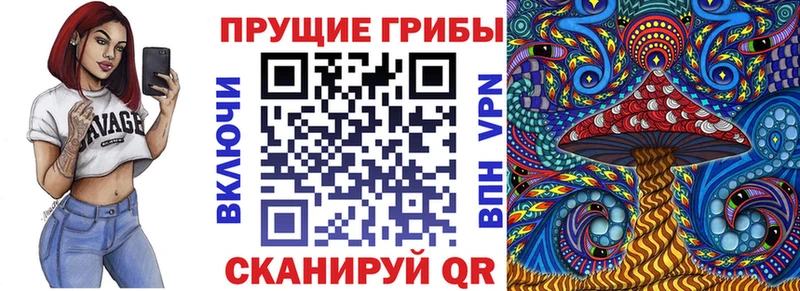 MEGA ONION  где купить наркоту  Сертолово  Псилоцибиновые грибы Cubensis 