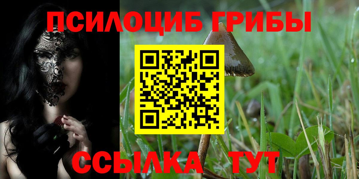 Галлюциногенные грибы MAGIC MUSHROOMS  Вход с VPN  купить наркотики цена  Галлюциногенные грибы мухоморы  Сертолово 