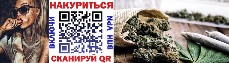цена наркотик  Сертолово  Канабис сатива 